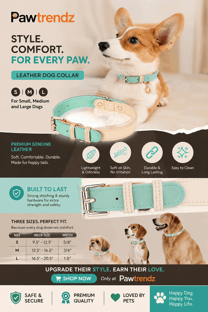 S M L Dog Collar