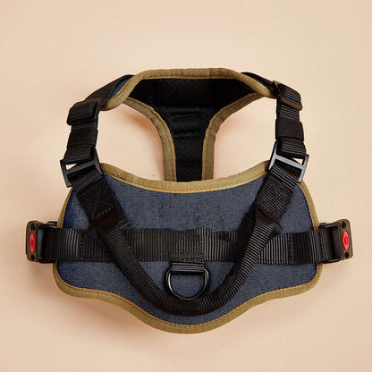 PawTrendz padded dog harness reflective strips shown on dog side view adjustable straps